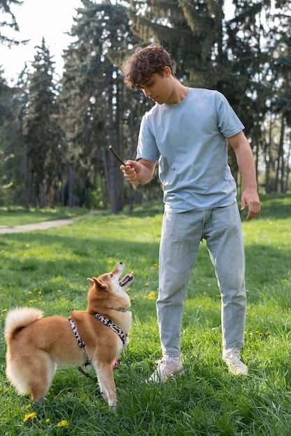 A dog wearing a GPS tracker on its collar running in a park. The owner is using a smartphone to track the dog's location.